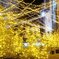 クリスマス