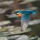 AK4I6653_400mm_F5,6_SS1600_ISO640