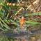 AK4I6729_400mm_F5,6_SS1600_ISO640