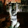 東山動植物園1