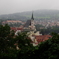 IMGP0330