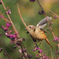 366A0923_400mm_F8,0_SS1600_ISO800