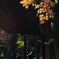 平林寺の紅葉