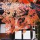 京都　紅葉