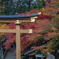 鳥居と紅葉
