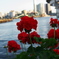 芝浦埠頭