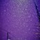 雪降ってきた