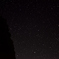 木と星