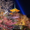 清水寺ライトアップ