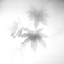 MIST