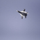 F-16