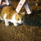 こんばんは