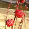 ローゼルSONY DSC-W35② 1230