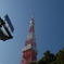 東京タワー