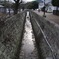 三角西港 中の水路