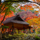 六義園にて