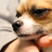 いや、撮らんでください