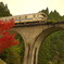 紅葉電車