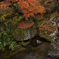 見下ろしても紅葉