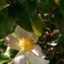 DSCN1641
