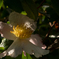 DSCN1652