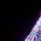 メリークリスマスの木