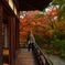 宝筐院の紅葉６