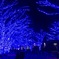 Blue cave 2016