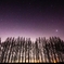 星空のメタセ並木