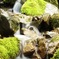 身近な風景