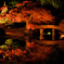 『六義園ライトアップ』