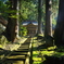 永平寺勅使門 朝