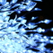 light