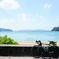 夏の思い出。～奄美大島～