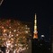 Roping Hills and Tokyo tower vo1.1