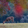 秋色の飛火野