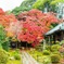 紅葉
