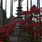 鹿野山神谷寺の紅葉