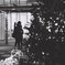 MaryChristmas