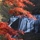 紅葉と滝