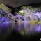 嵐山・花灯路#2