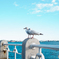 ゆりかもめ横浜