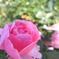 R0011514