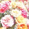 R0011535