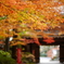 油山寺にて
