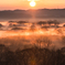 Spring Morning