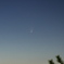 パンスターズ彗星(C／2011 L4)
