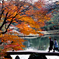 六義園から
