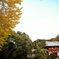 鎌倉