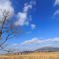 飯田高原冬
